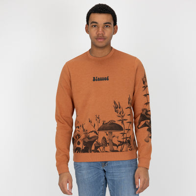 Graphic Wraparound Crewneck Pullover Sweatshirt - Amber Brown / Mushroom Caterpillar Greyscale