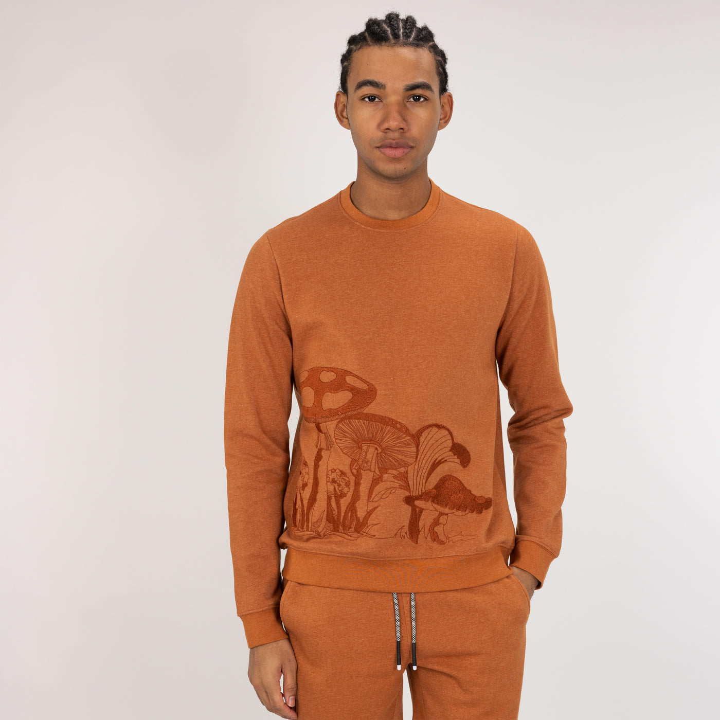 Embroidered Front Sweatshirt  - Amber Brown / Mushroom