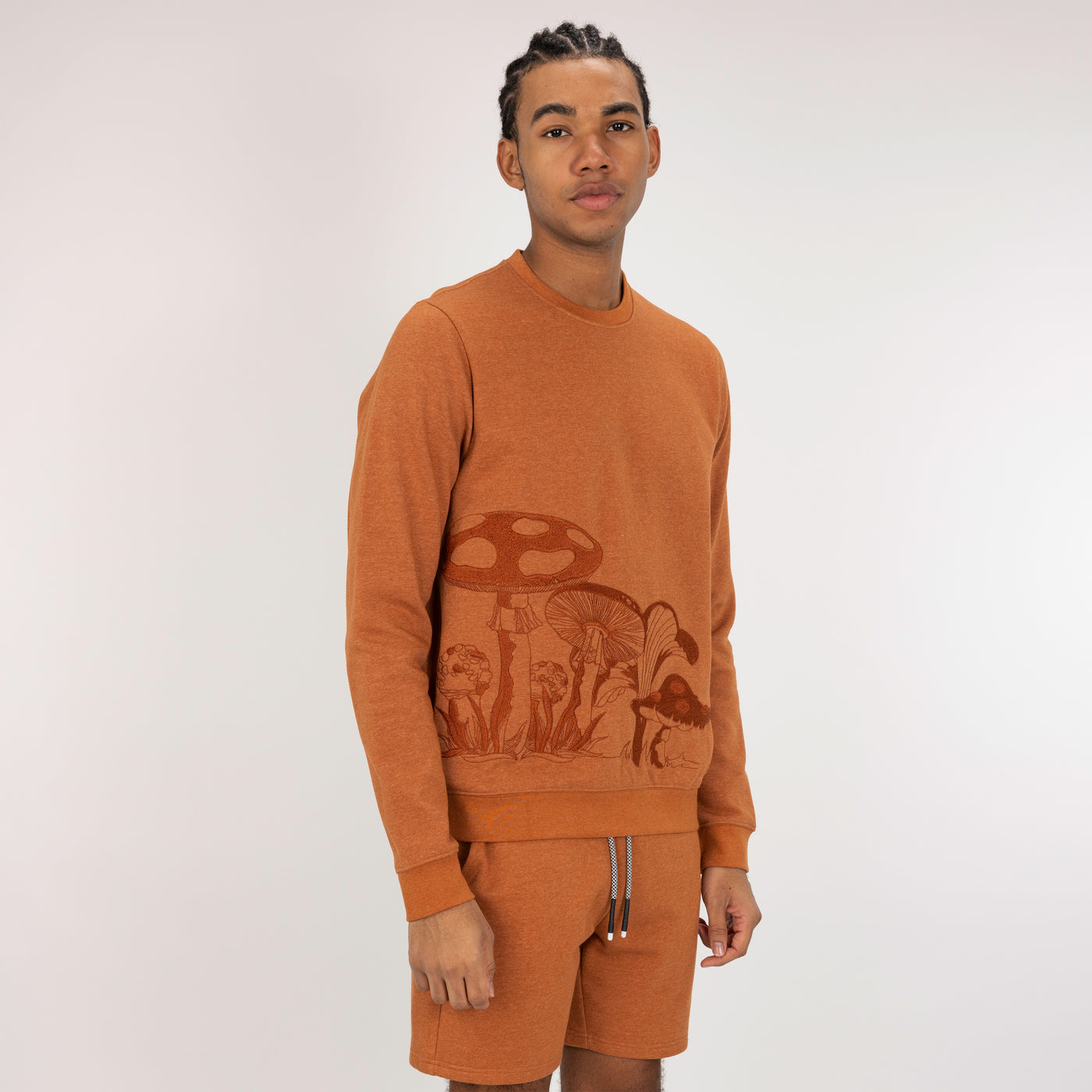 Embroidered Front Sweatshirt  - Amber Brown / Mushroom