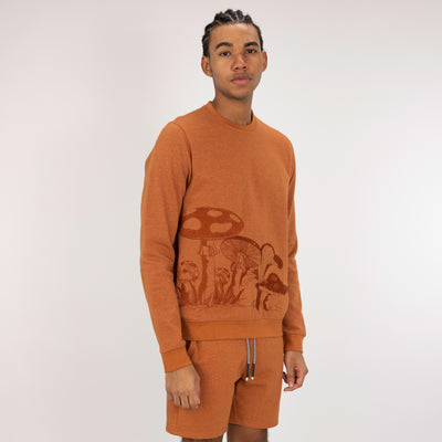 Fleece Shorts  - Amber Brown